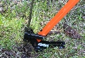 The Extractigator works great with removing French Broom