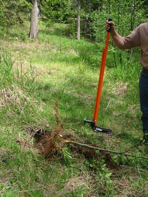 Lifting the Extractigator opens the jaws, ready for the next plant! The Extractigator works great at removing hickory