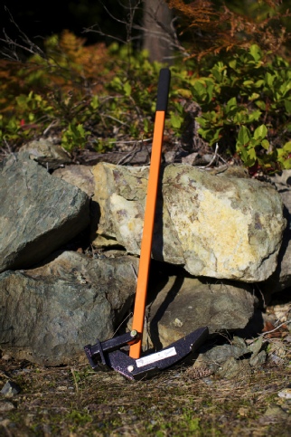 The Extractigator Junior can be used to remove Buckthorn