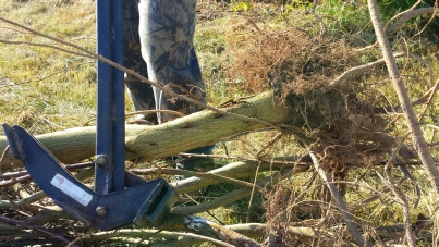 Older Extractigator model with Scotch Broom