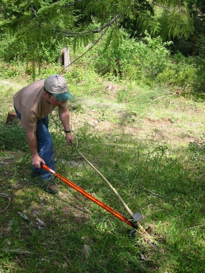 The plant is removed as the Extractigator handle is pushed down The Extractigator works great with removing Honeysuckle